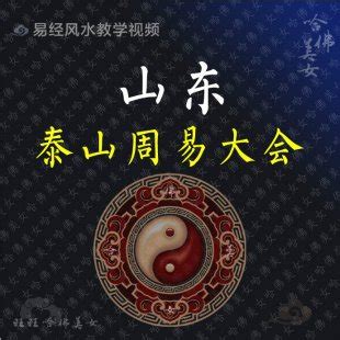 2009年山东泰山周易大会 全套36集 周易预测命理易学风水视频教程 | 好易之