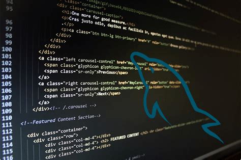 MySQL Connector Python in Shell に対する画像結果