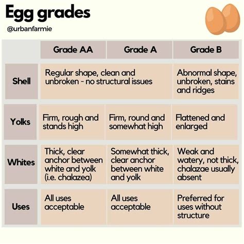 What do different egg grades mean – Artofit