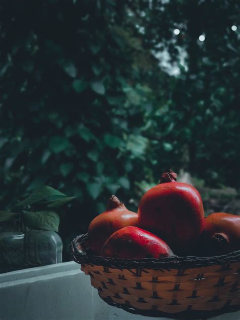 Nitish Patel | Full Stack Dev and AI Enthusiast