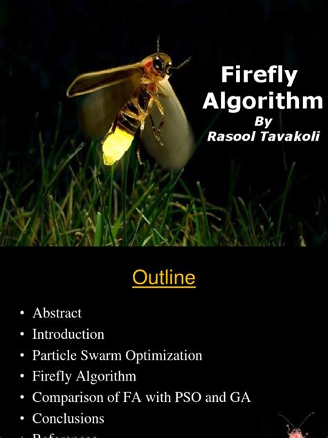Firefly Algorithm Explained 的图像结果