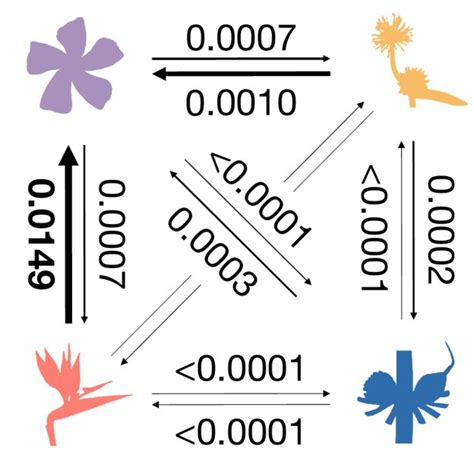 Image result for Transition Matrix How To