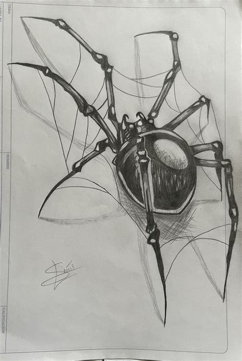 Pin by Thiago López on Quick Saves | Spider drawing, Spider art, Art ...