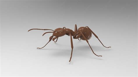 蚂蚁3D模型下载 - CAD_3D模型下载 - 三维模型下载网—精品3D模型下载网