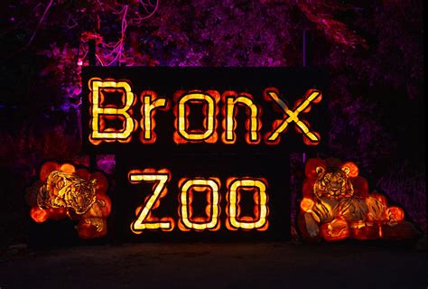 What’s happening | Spooky fun events kick off fall in the Bronx – Bronx ...