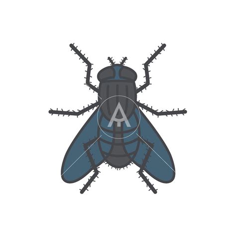 Fly Logo 的图像结果