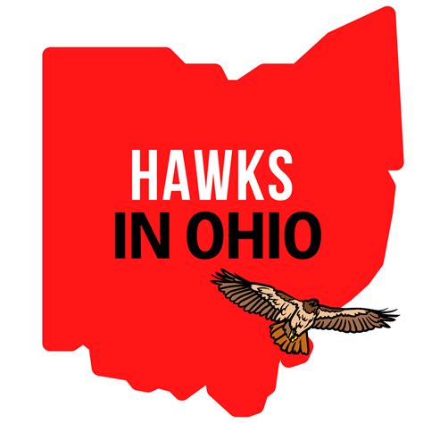 Lavender Farms in Ohio - Visit Ohio Today