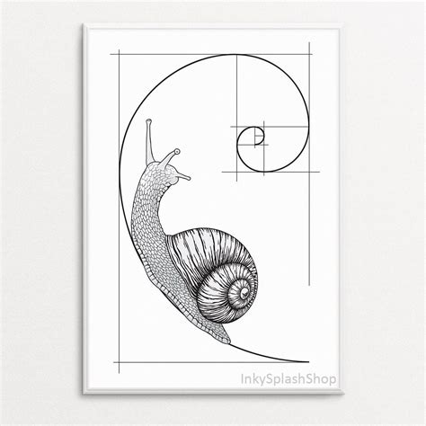 Snail on fibonacci spiral wall art printable golden ratio artwork ...