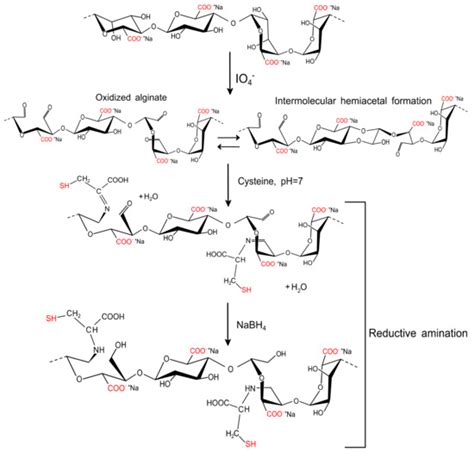 Functionalization of an Alginate-Based Material by Oxidation and ...
