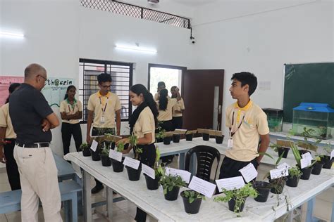 Rajagiri Amala CMI Public School, Vaikom | 𝑆𝐶𝐼𝐸𝑀𝐴𝑇𝐼𝐶𝑆 2𝐾23 -𝐴𝑛 ...