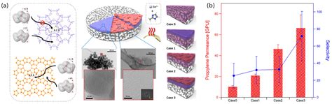 Recent Progress and Challenges in the Field of Metal–Organic Framework ...
