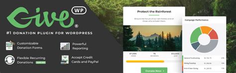 Grow Your Business With Payment Plugin For WordPress