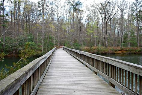 There are great places to take a walk in the Williamsburg area – Daily ...