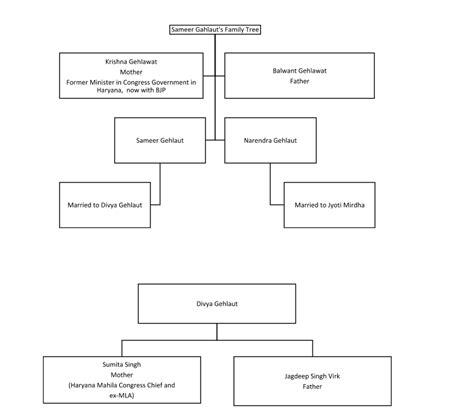 The Maze of Political Links of Indiabull’s Sameer Gehlaut | NewsClick