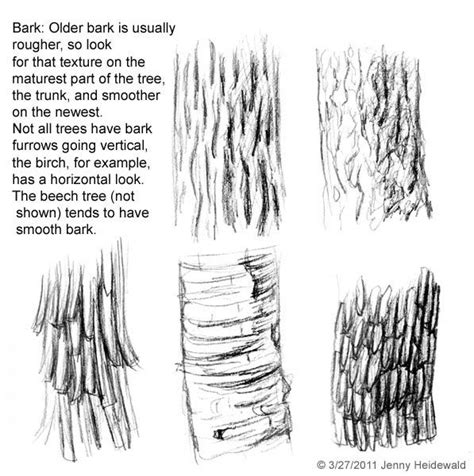 Image result for Tree Bark Simple Drawing