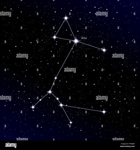 Canis Major constellation with Sirius star Stock Vector Image & Art - Alamy