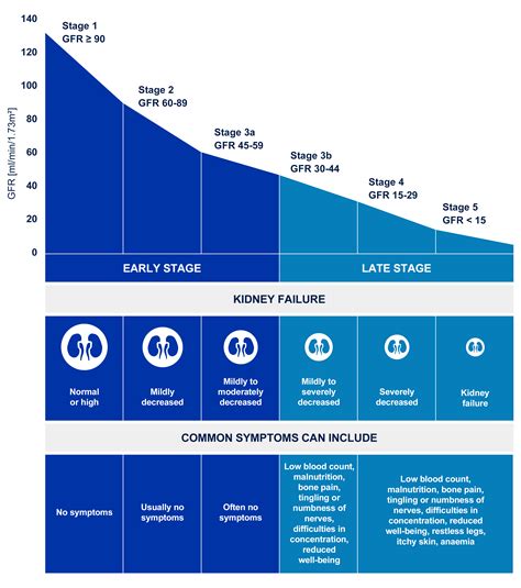 What Should Be An Ideal Gfr For Kidney Function - sterlinglalar