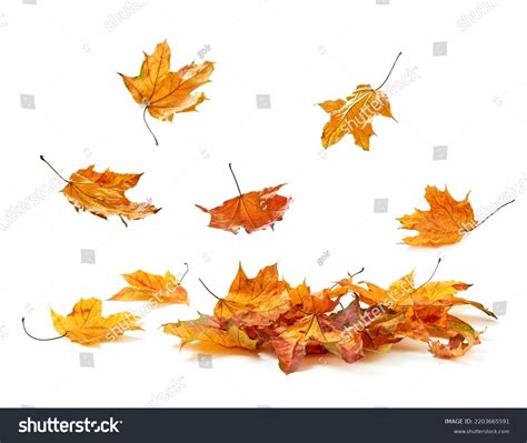 Leaves Falling Clip Art
