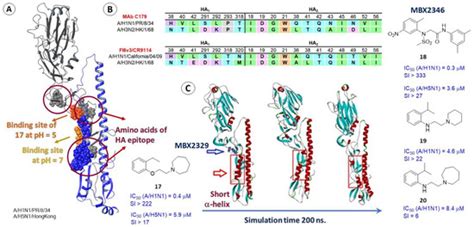 Molecular Modeling of Viral Type I Fusion Proteins: Inhibitors of ...