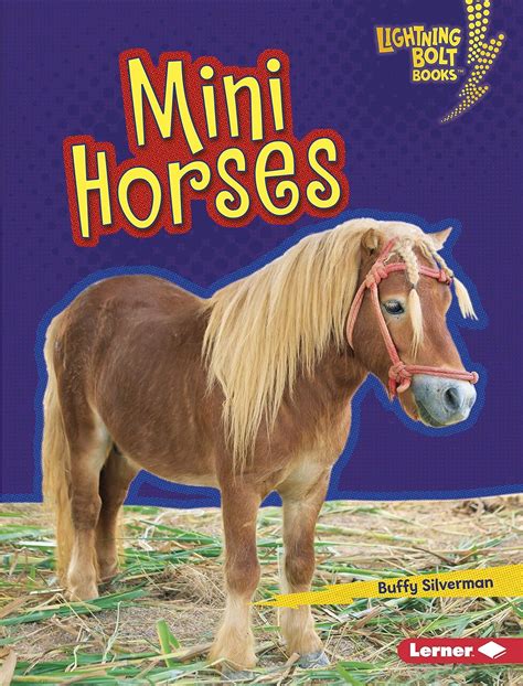 Mini Horses (Lightning Bolt Books ® — Little Pets) eBook : Silverman ...