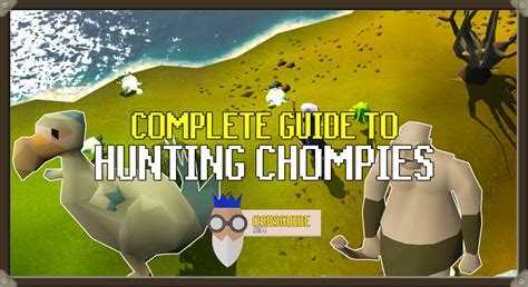 Image result for Pest Control Pure Guide OSRS