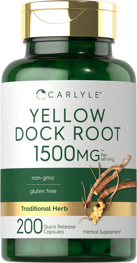 Yellow Dock Root Plant