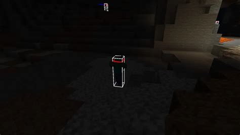 How to Show Hitboxes Minecraft Java 的图像结果