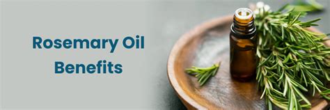 Benefits of Rosemary Oil and How to Use it