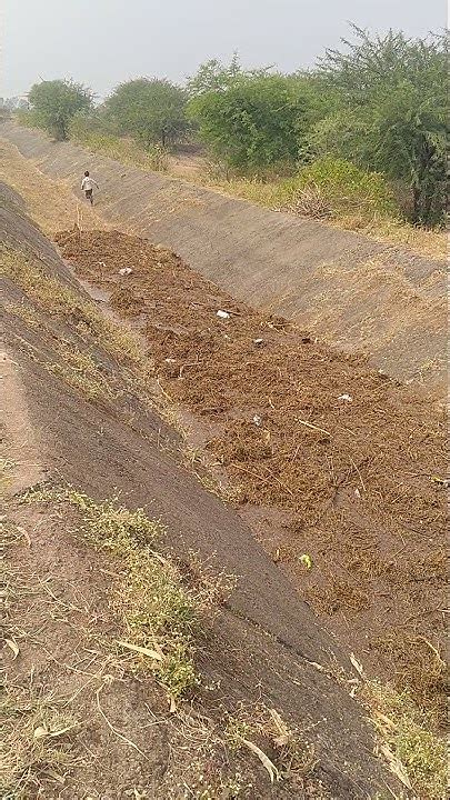 formalvv tpatti com apk v1.8.7