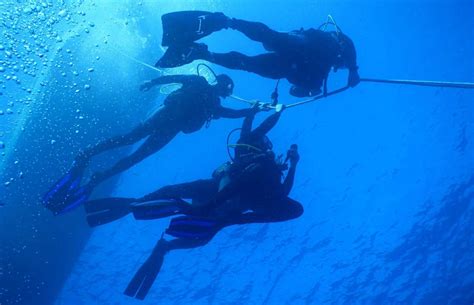 Try Dive in Goa (with stay) | LBB