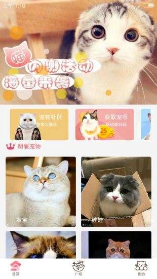 猫咪社区app最新官网在线下载_猫咪社区app最新官网在线下载安装