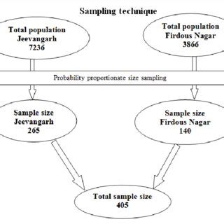 Image result for Sampling Technique Example