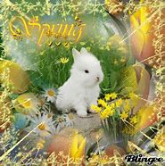 Image result for Baby Bunny Wallpaper