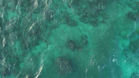 Sea Texture High Resolution 的图像结果