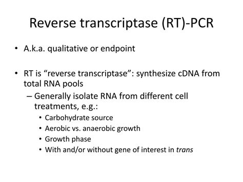 RNA Transcript Graph 的图像结果