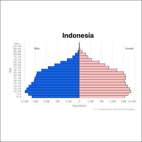 Solopreneur Indonesia - TheSolopreneur.xyz - population of indonesia
