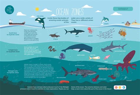 See Inside Water Book – Discover Talking Pen | Animal infographic, Kids critical thinking ...