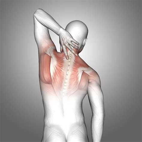 Lower Back Muscle Spasm 的图像结果