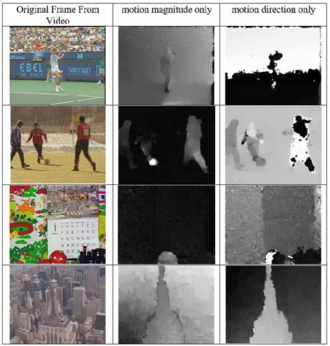 Motion Map Examples 的图像结果