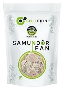 Buy CELLUTION Samundar Jhag - 50gm Samandar Jhaag, Sea Foam, Samunder ...