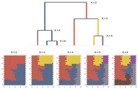 Self-Organizing Maps to Evaluate Multidimensional Trajectories of ...