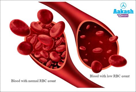 Haemoglobin: Structure, Types, Functions, Common Disorders, Practice ...