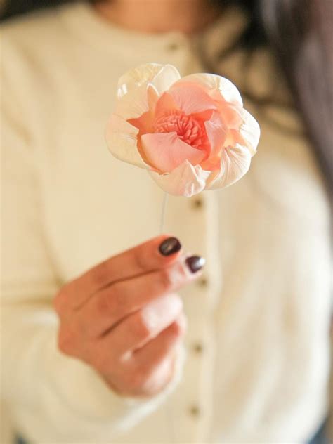 Dried Flowers | Dual shade sola peony-Pink and white