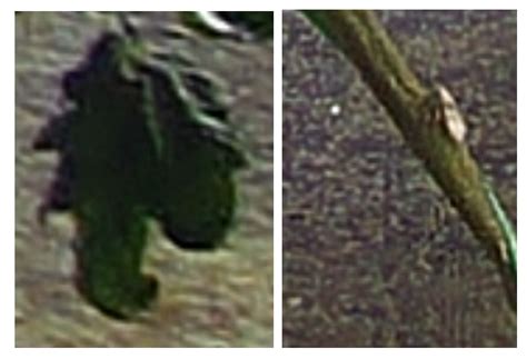 Definition and Application of a Computational Parameter for the ...