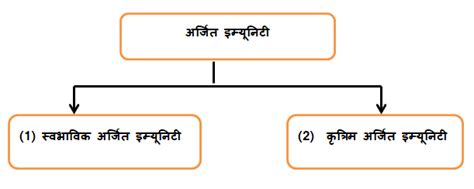 इम्‍यूनि‍टी के प्रकार और हर्ड इम्‍यूनि‍टी |Types of immunity & hard ...