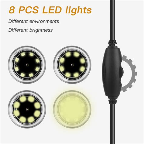 Microscope 1000X Magnification 的图像结果