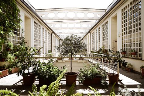 Una storia di ambiziosi fornai, grandi architetti e finanza alla romana ...