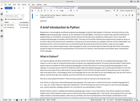Python Notebook UI 的图像结果