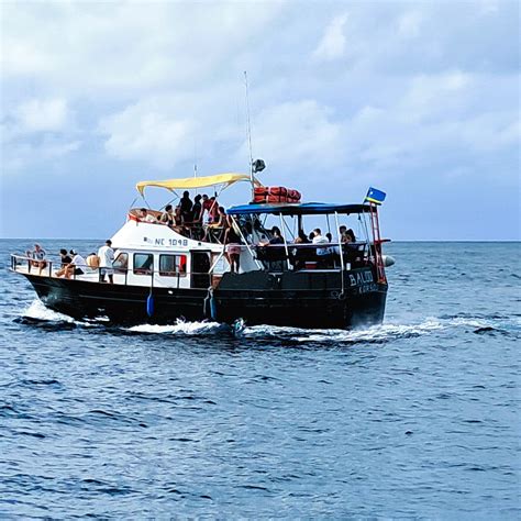 BUDGET BOAT TRIPS CURACAO (2026) All You Need to Know BEFORE You Go ...