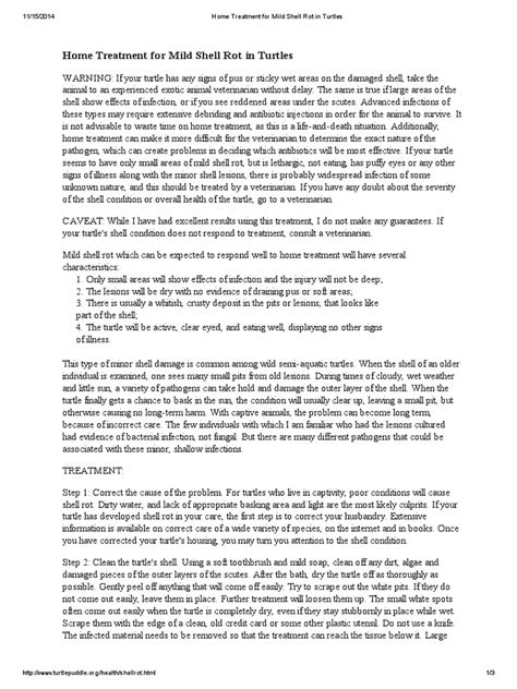 Image result for How to Cure Turtle Shell Rot